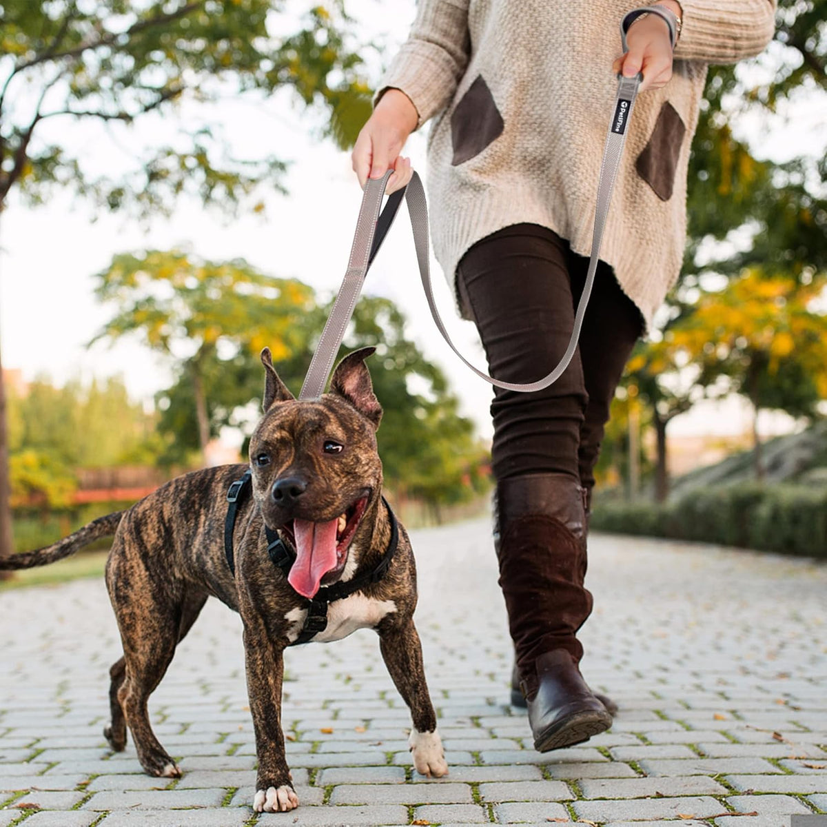 4 ft heavy duty dog leash with double handle