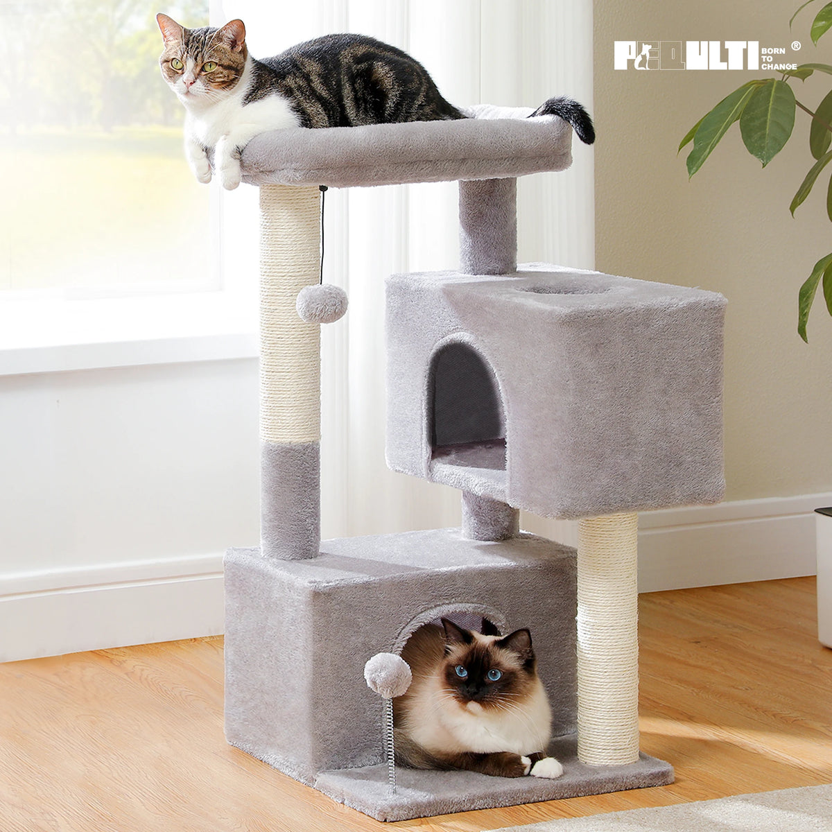 XL cat tree for large cats