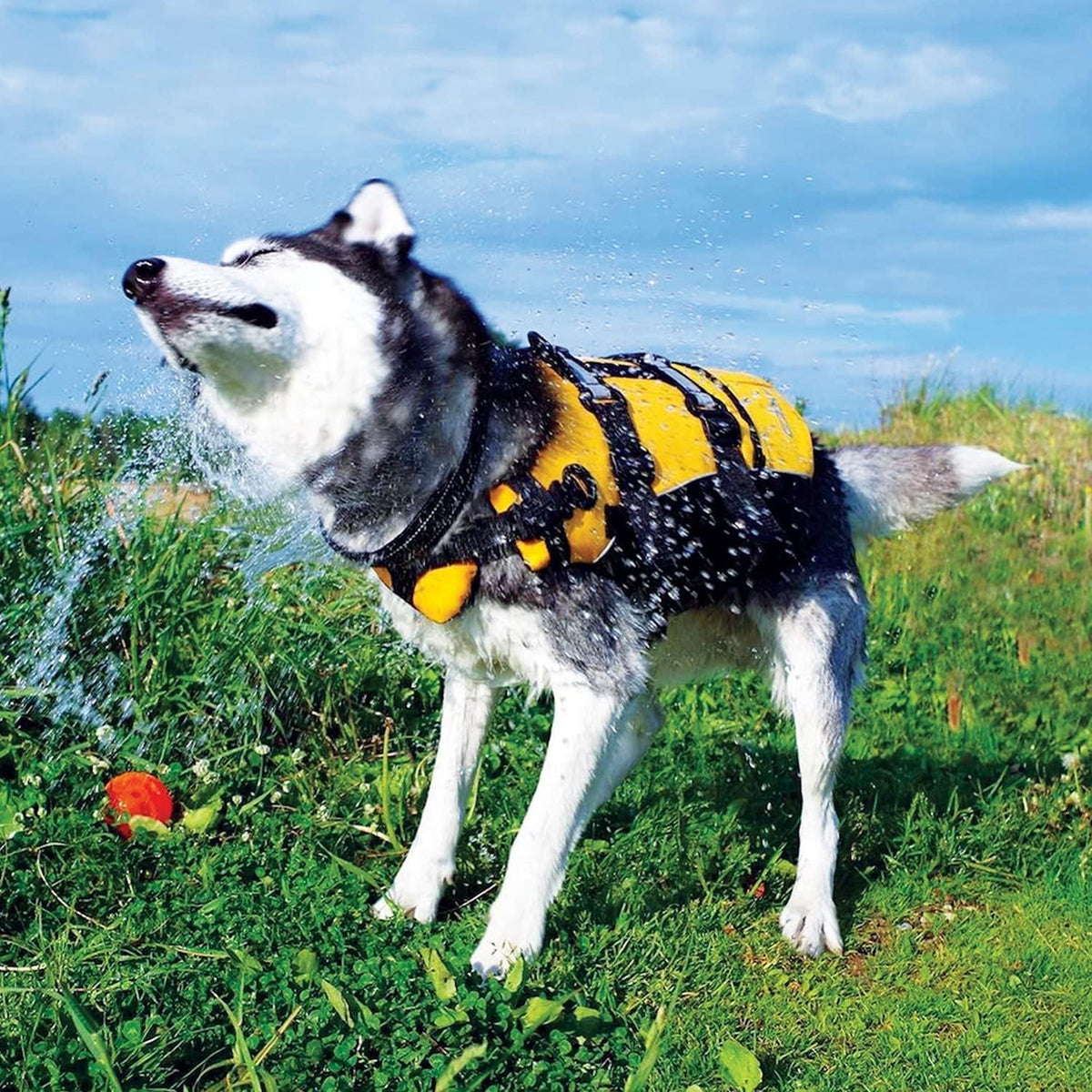 Dog life jacket for swimming, medium yellow