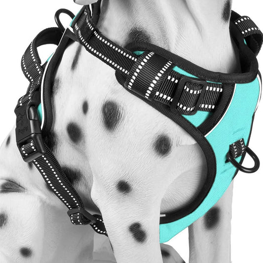 No-pull dog harness with front clip, medium