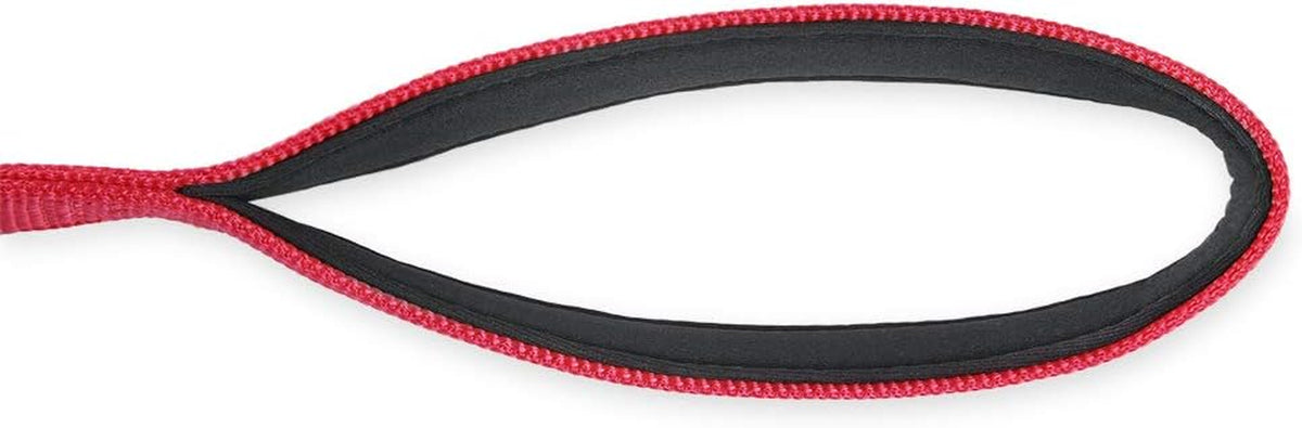 Short 18 in dog leash with padded handle