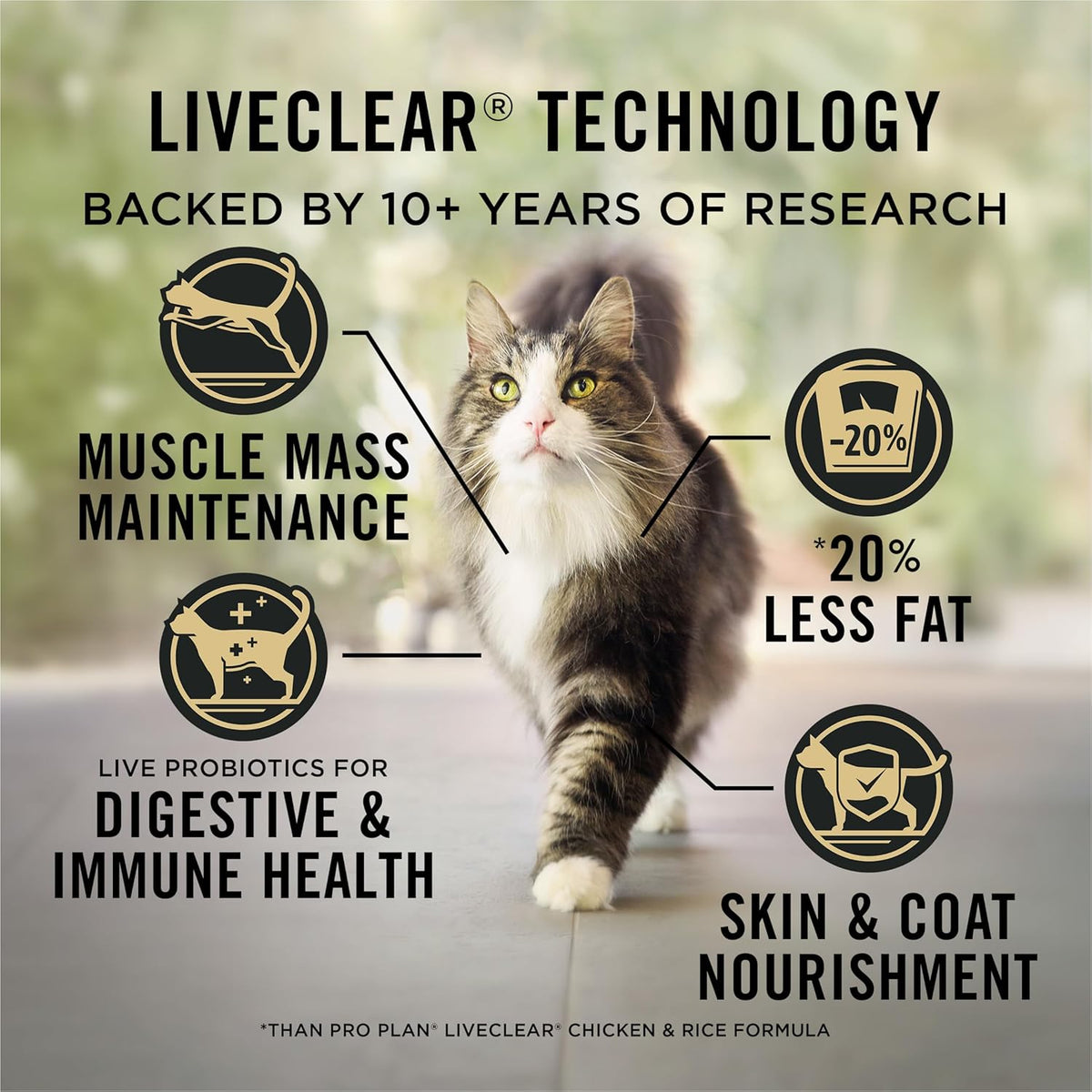 Weight control dry cat food, chicken and rice, 5.5 lb