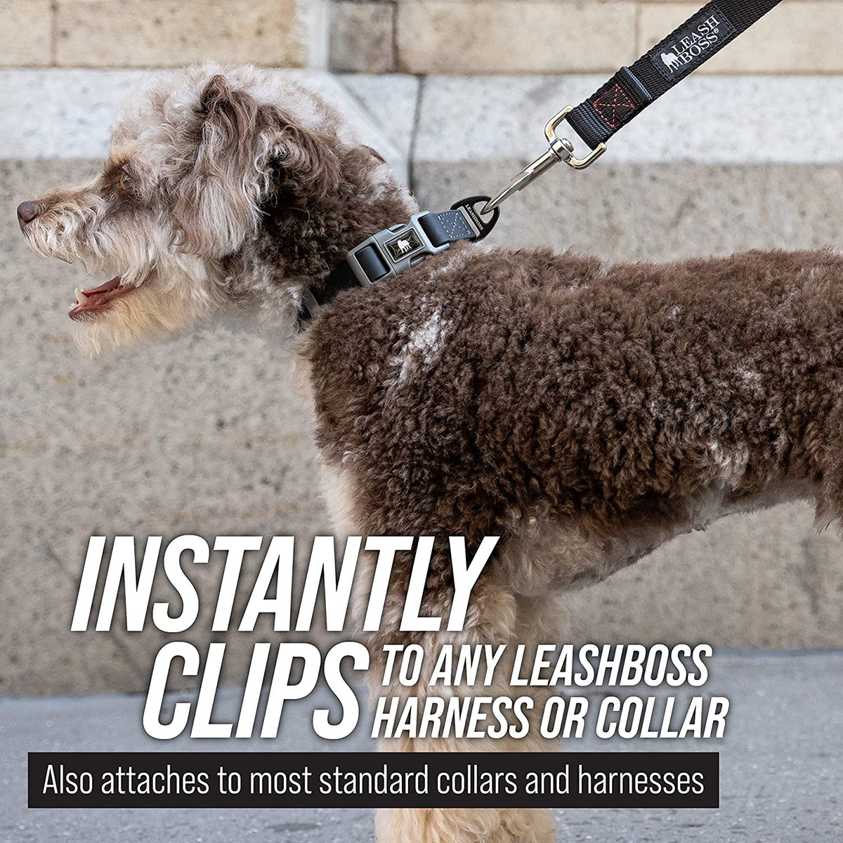 50 ft long training leash for dogs