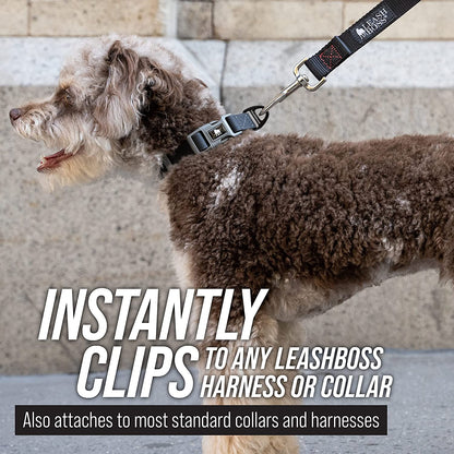 50 ft long training leash for dogs