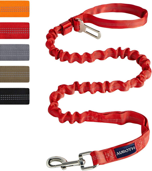 Bungee dog leash for large dogs