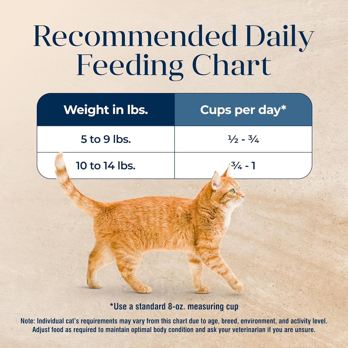 Grain-free turkey dry cat food, 11 lb bag
