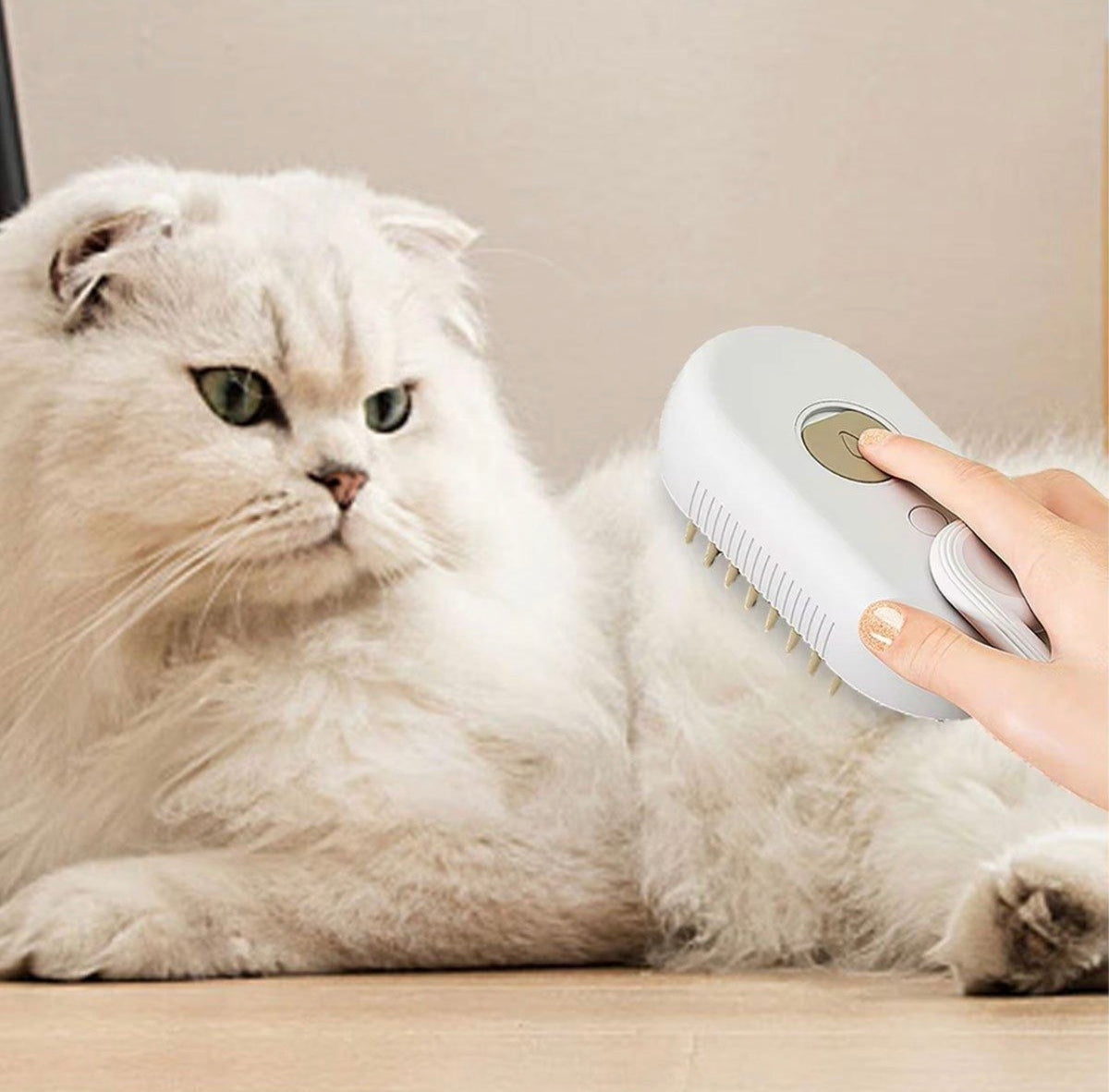 Electric steam brush for cats