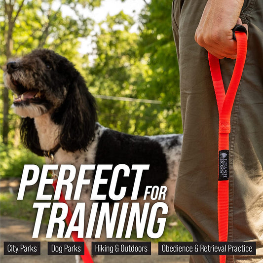 50 ft long training leash for dogs