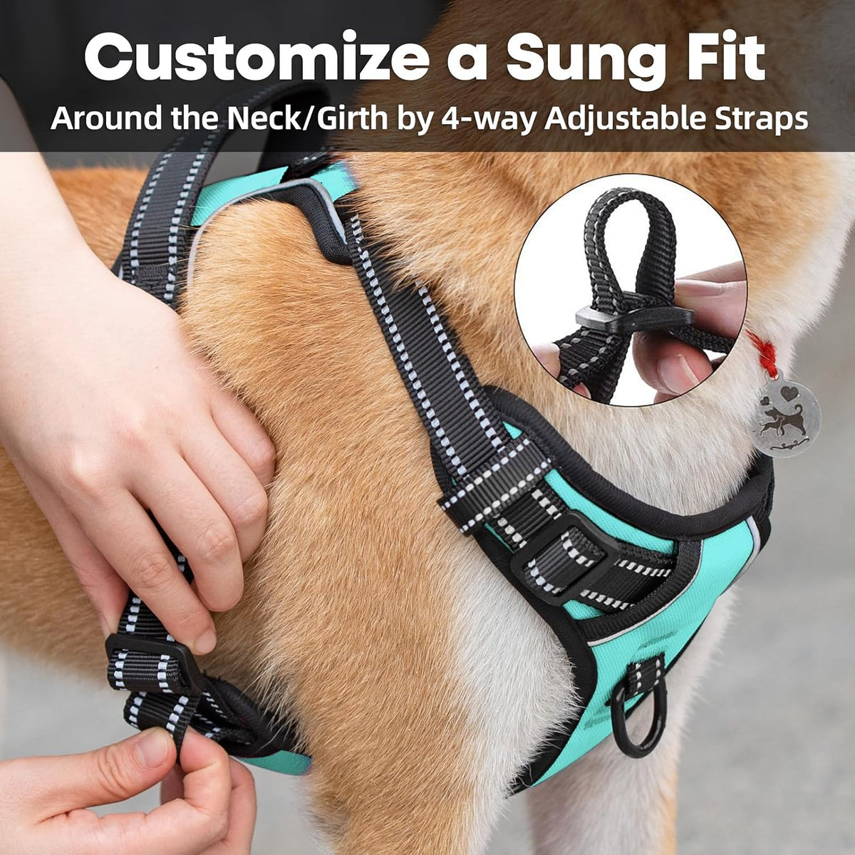 No-pull dog harness with front clip, medium