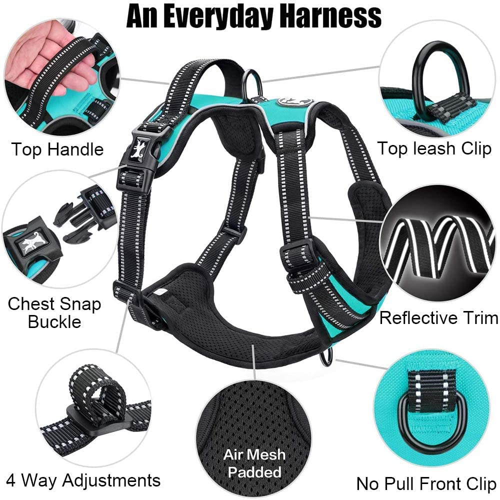 No-pull dog harness with front clip, medium