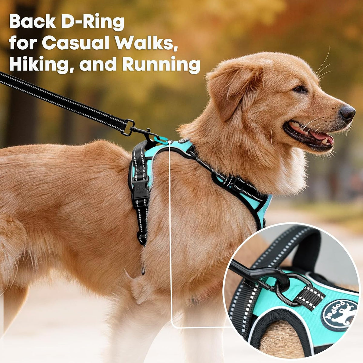 No-pull dog harness with front clip, medium