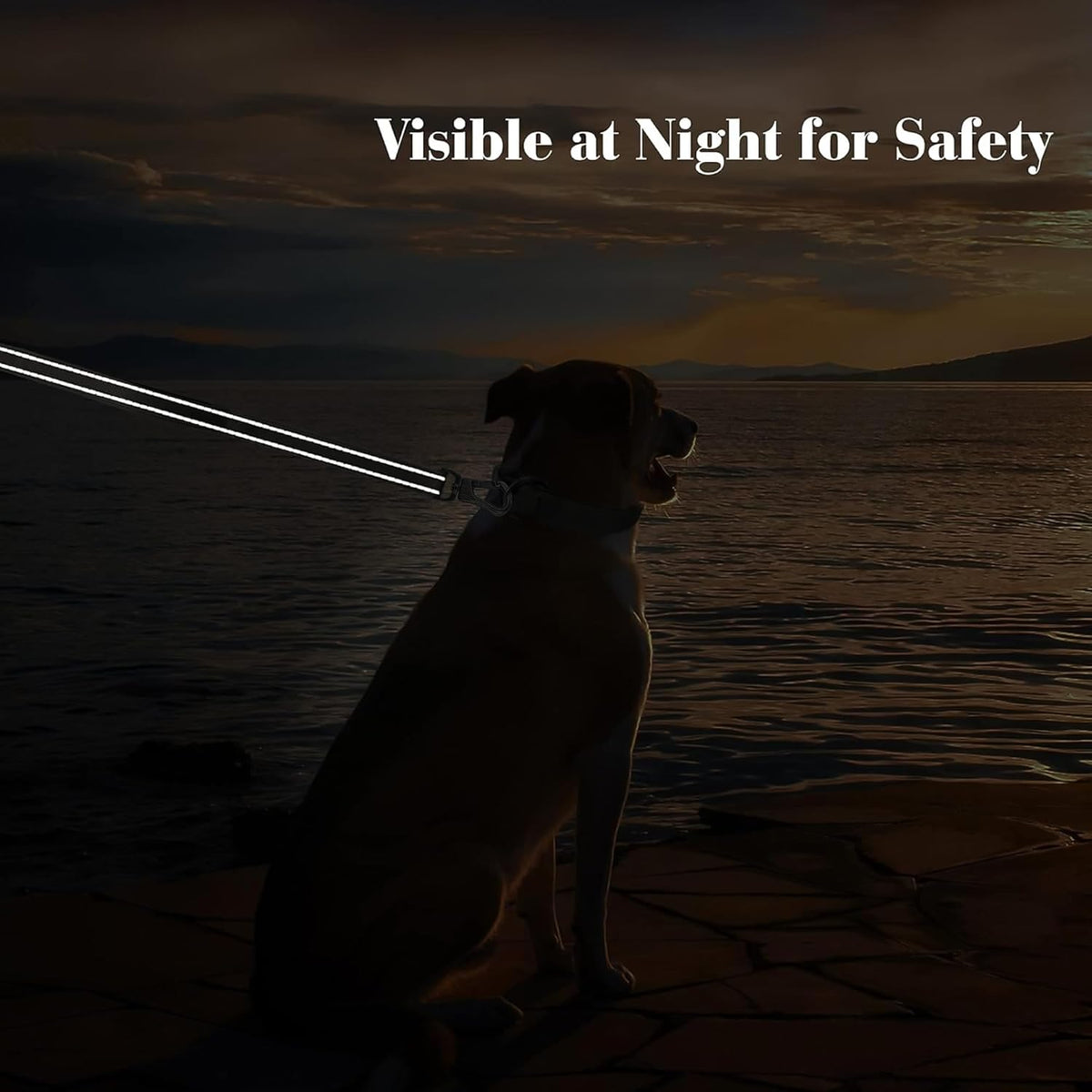 4 ft heavy duty dog leash with double handle