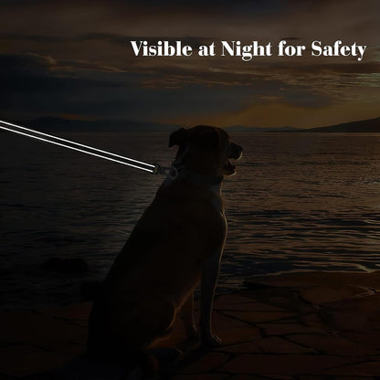 4 ft heavy duty dog leash with double handle
