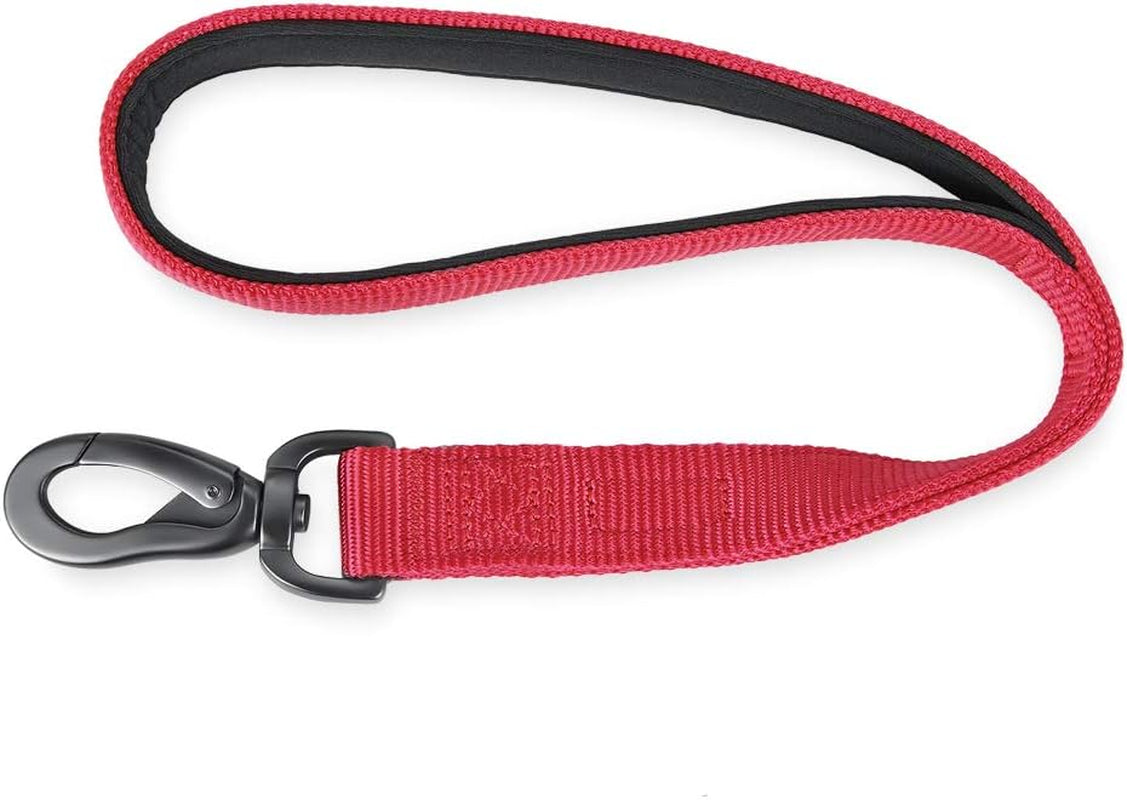 Short 18 in dog leash with padded handle