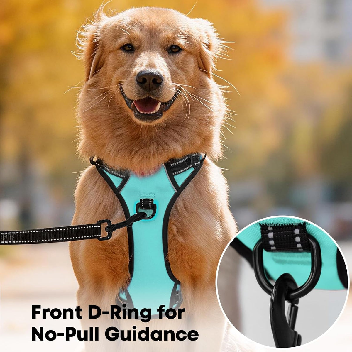 No-pull dog harness with front clip, medium
