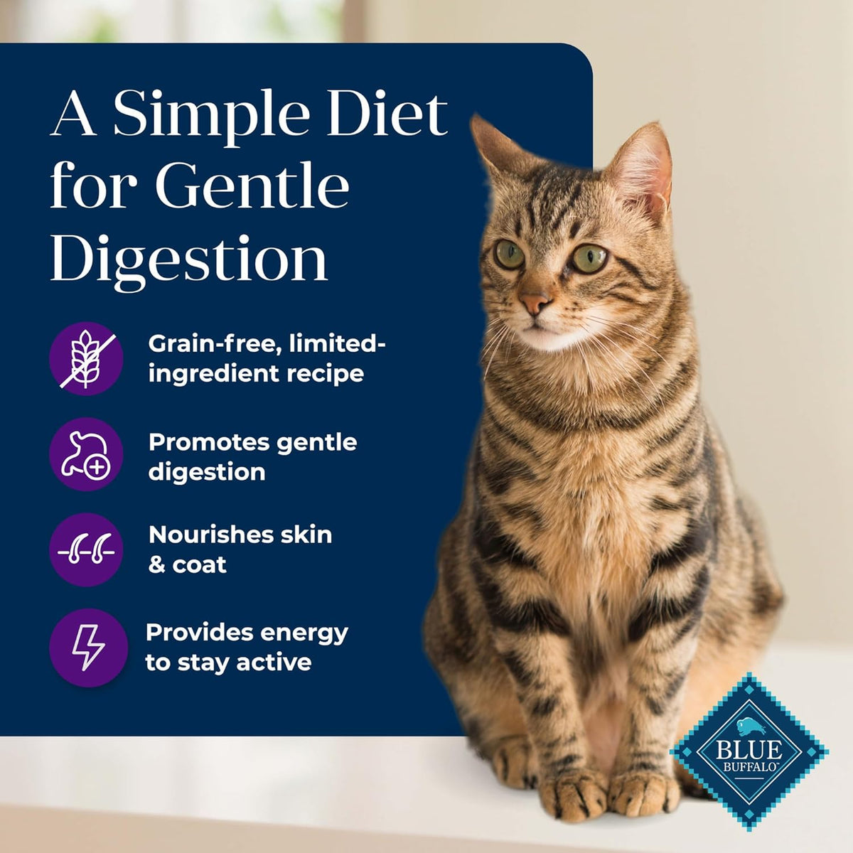 Grain-free turkey dry cat food, 11 lb bag