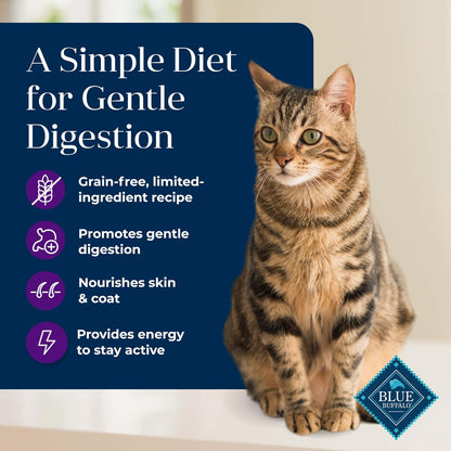Grain-free turkey dry cat food, 11 lb bag