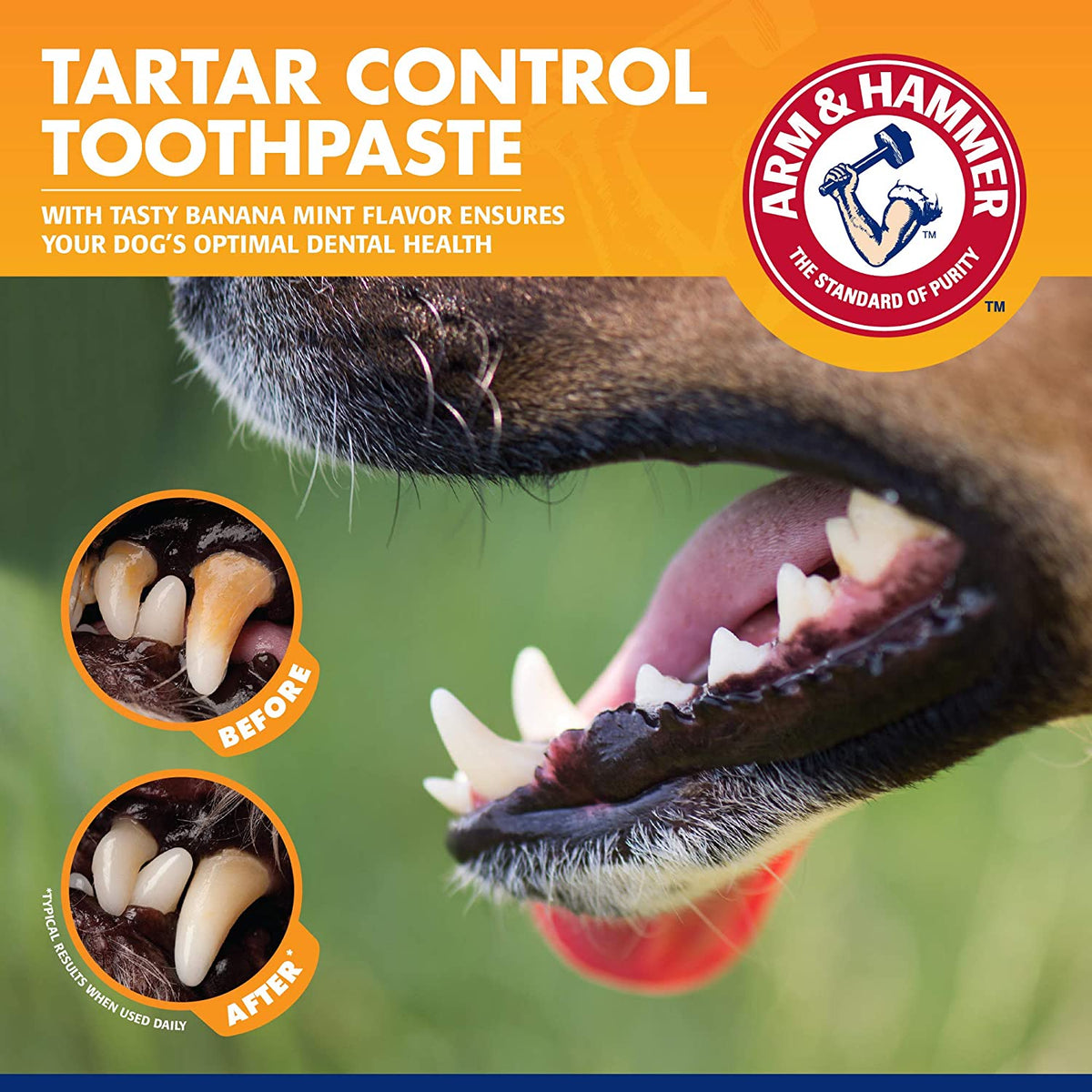 Dog dental care kit, 3 pieces