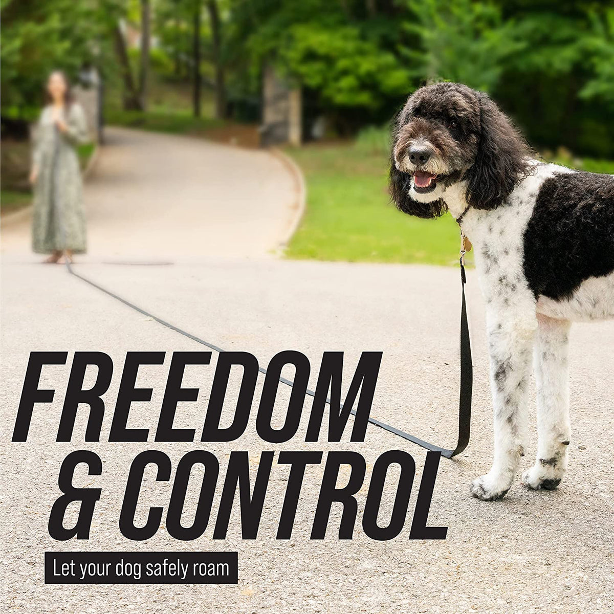 50 ft long training leash for dogs