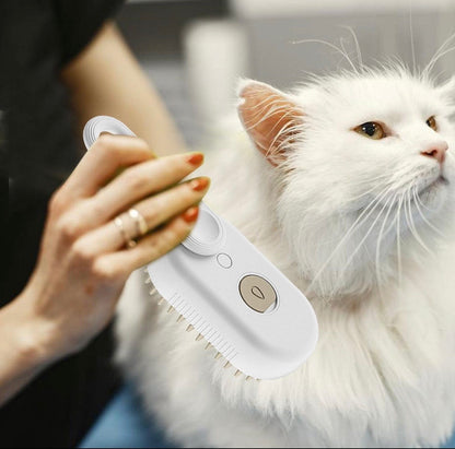 Electric steam brush for cats