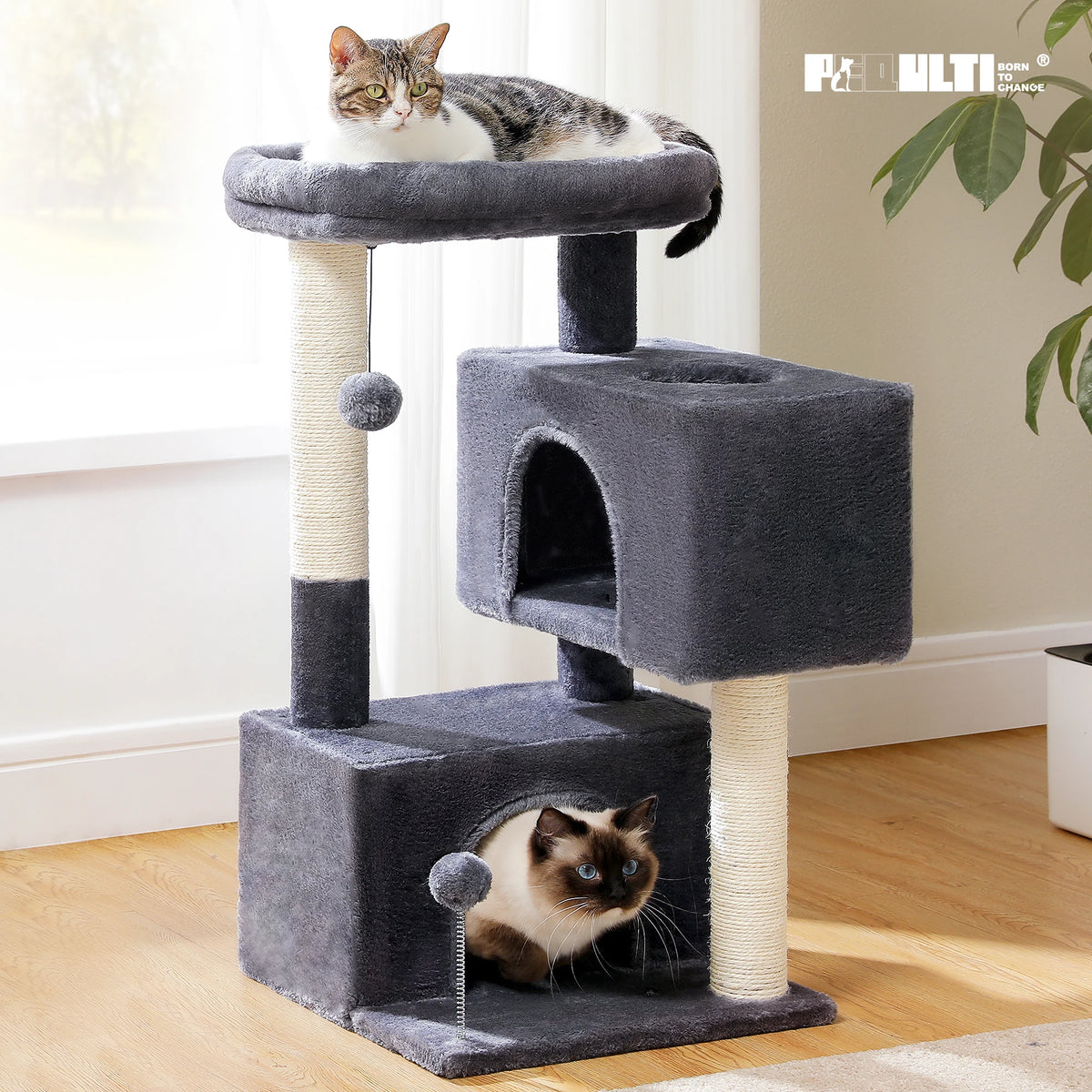 XL cat tree for large cats