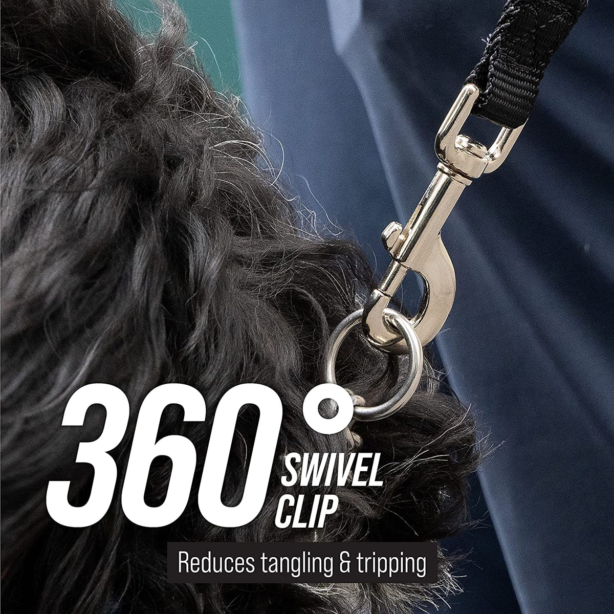 50 ft long training leash for dogs