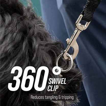 50 ft long training leash for dogs