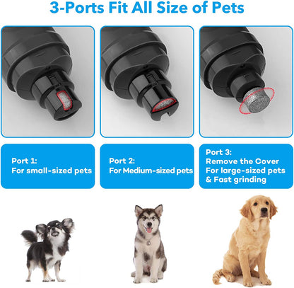 Rechargeable dog nail grinder with LED lights