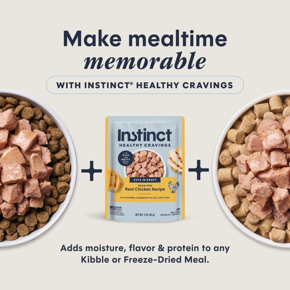 Grain-free chicken wet cat food topper, 24 pouches