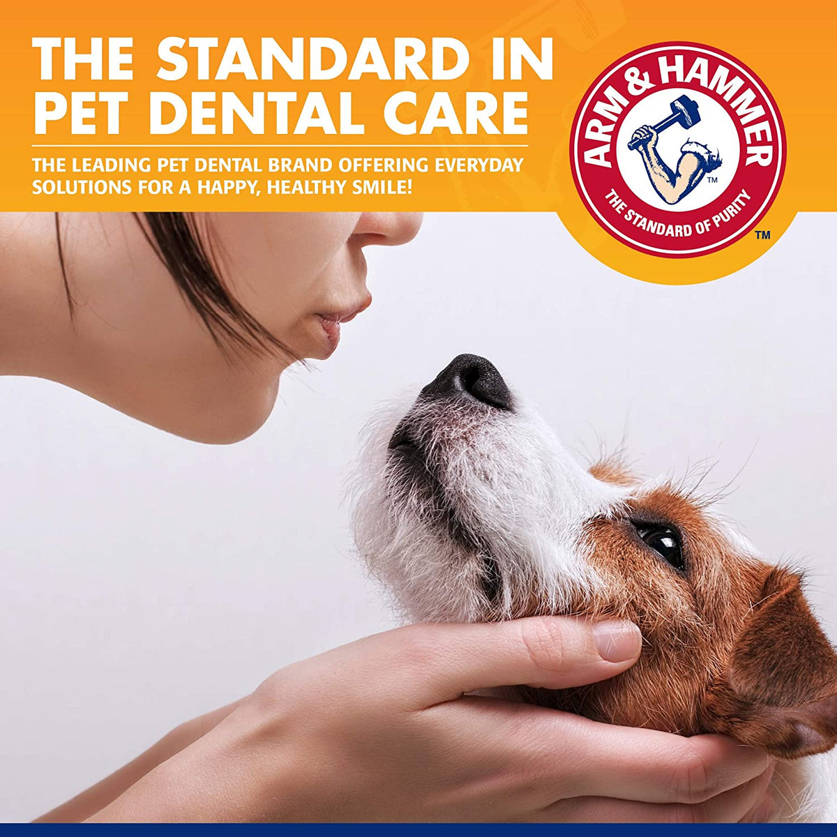 Dog dental care kit, 3 pieces