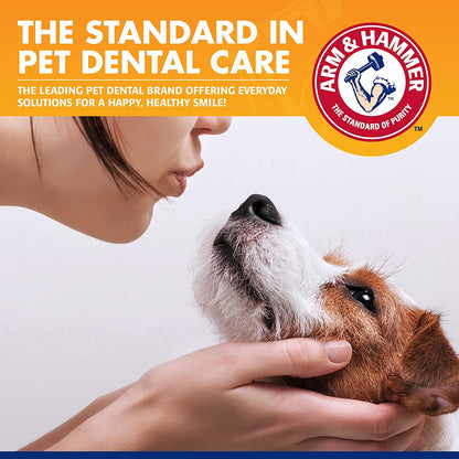 Dog dental care kit, 3 pieces