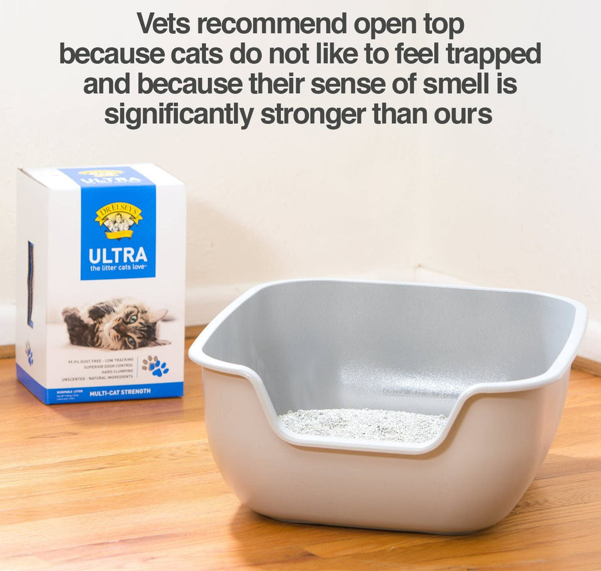 Non-stick large cat litter box