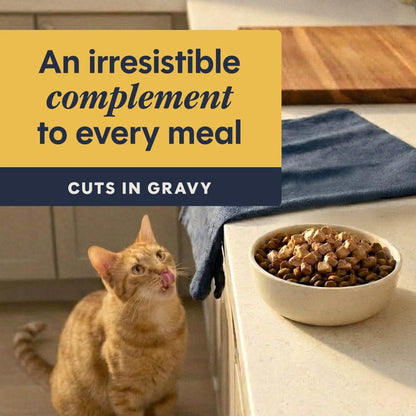 Grain-free chicken wet cat food topper, 24 pouches